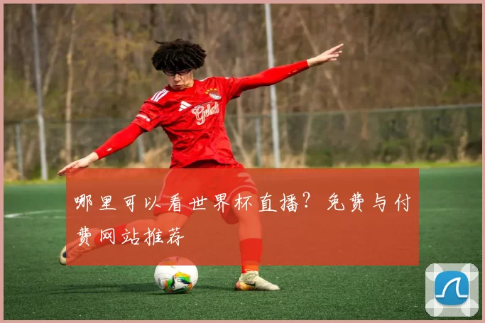 哪里可以看世界杯直播?免费与付费网站推荐