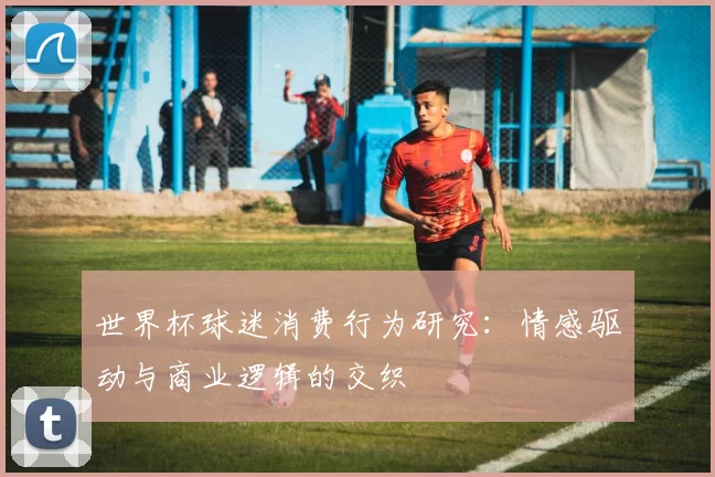 世界杯球迷消费行为研究:情感驱动与商业逻辑的交织