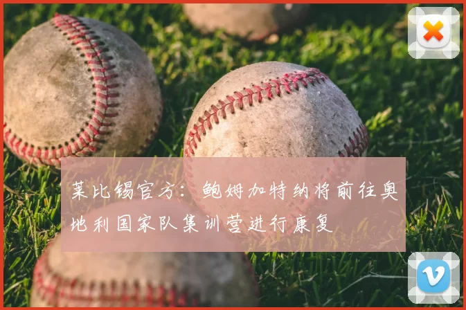 莱比锡官方:鲍姆加特纳将前往奥地利国家队集训营进行康复