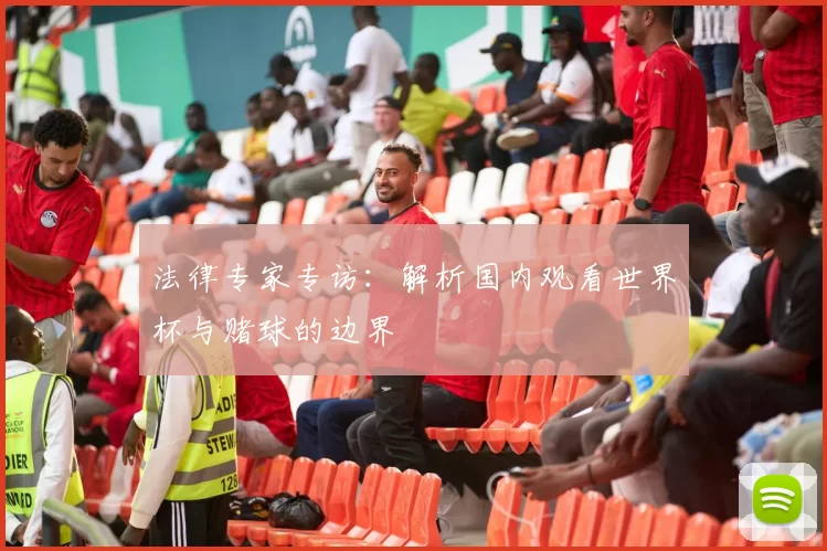 法律专家专访:解析国内观看世界杯与赌球的边界