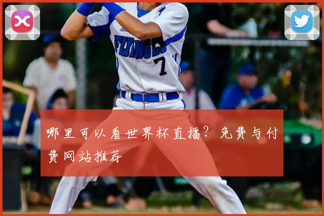 哪里可以看世界杯直播?免费与付费网站推荐