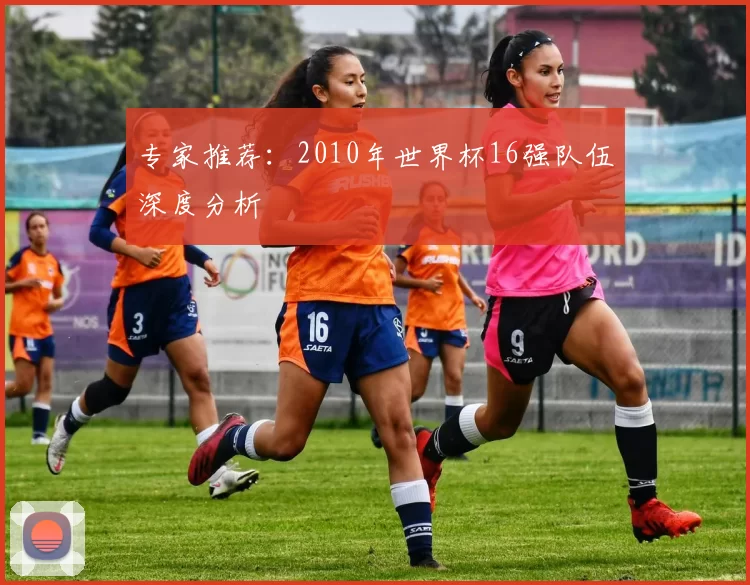 专家推荐：2010年世界杯16强队伍深度分析