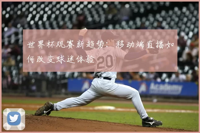 世界杯观赛新趋势：移动端直播如何改变球迷体验