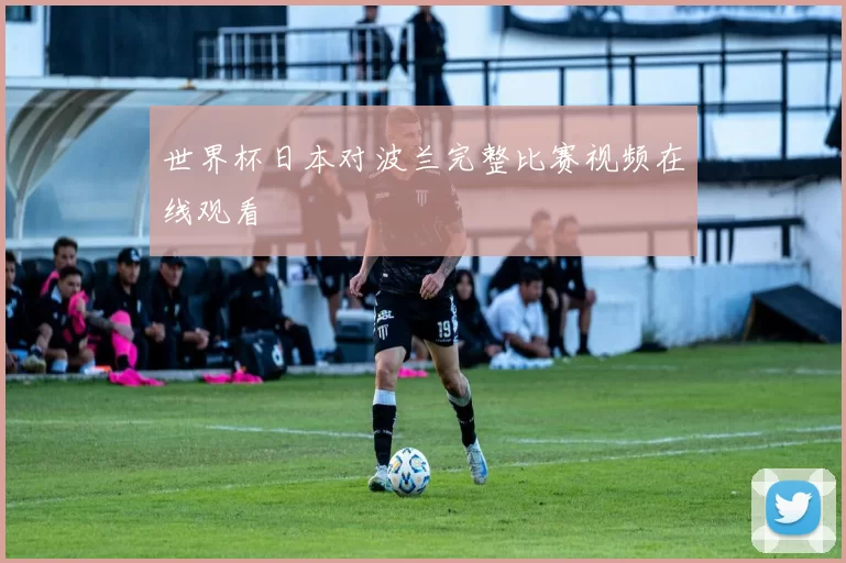世界杯日本对波兰完整比赛视频在线观看