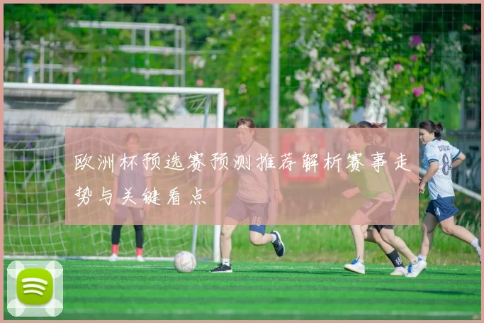 欧洲杯预选赛预测推荐解析赛事走势与关键看点